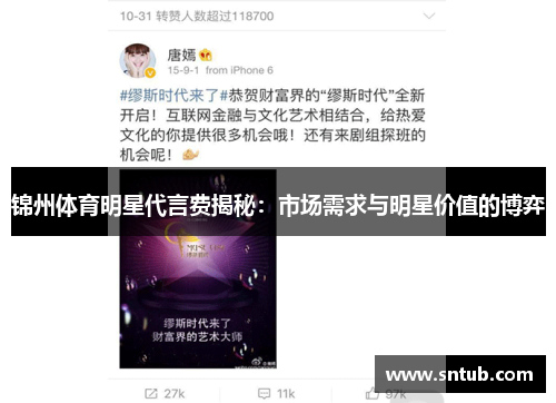 锦州体育明星代言费揭秘：市场需求与明星价值的博弈